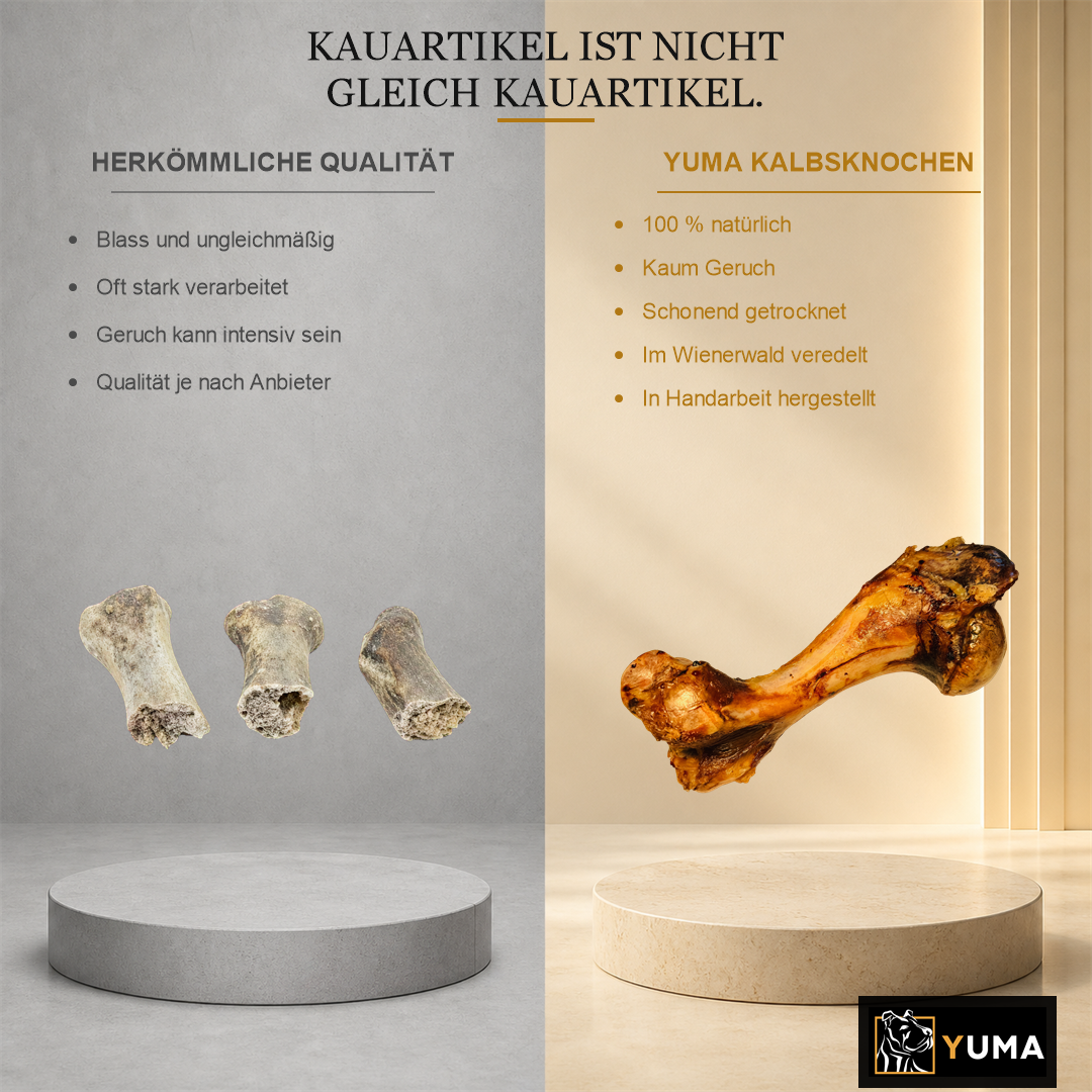 Knochen vom Kalb – Bild 2