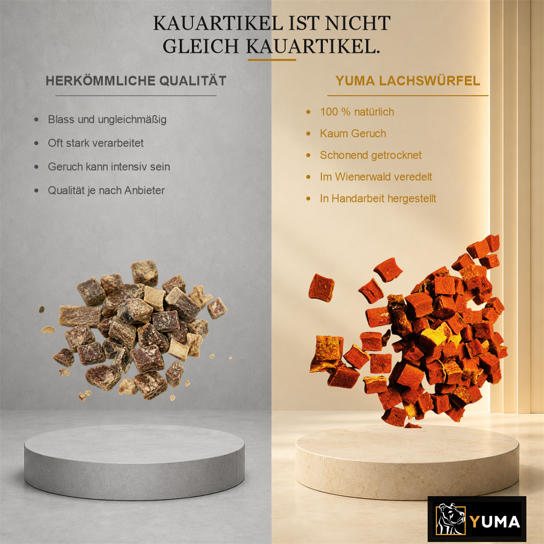 Lachswürfel – Bild 2