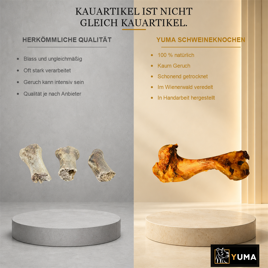 Schweinknochen – Bild 2